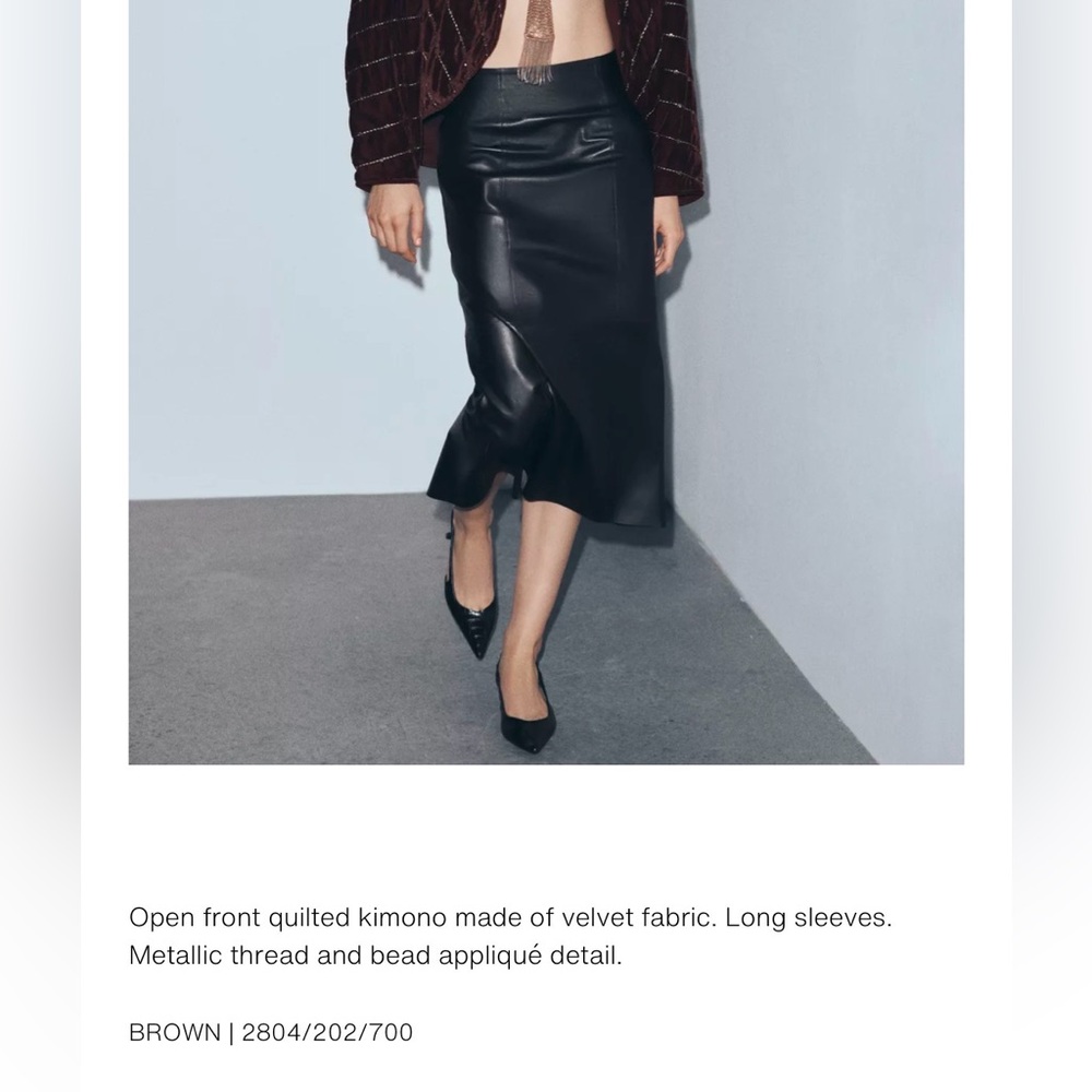 Zara Brown Jacket with Gold Accents - Picture 5 of 5
